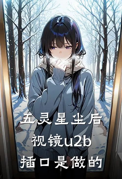 五灵星尘后视镜u2b插口是做的