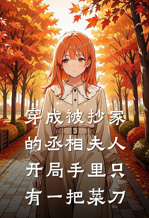 穿成被抄家的丞相夫人，开局手里只有一把菜刀